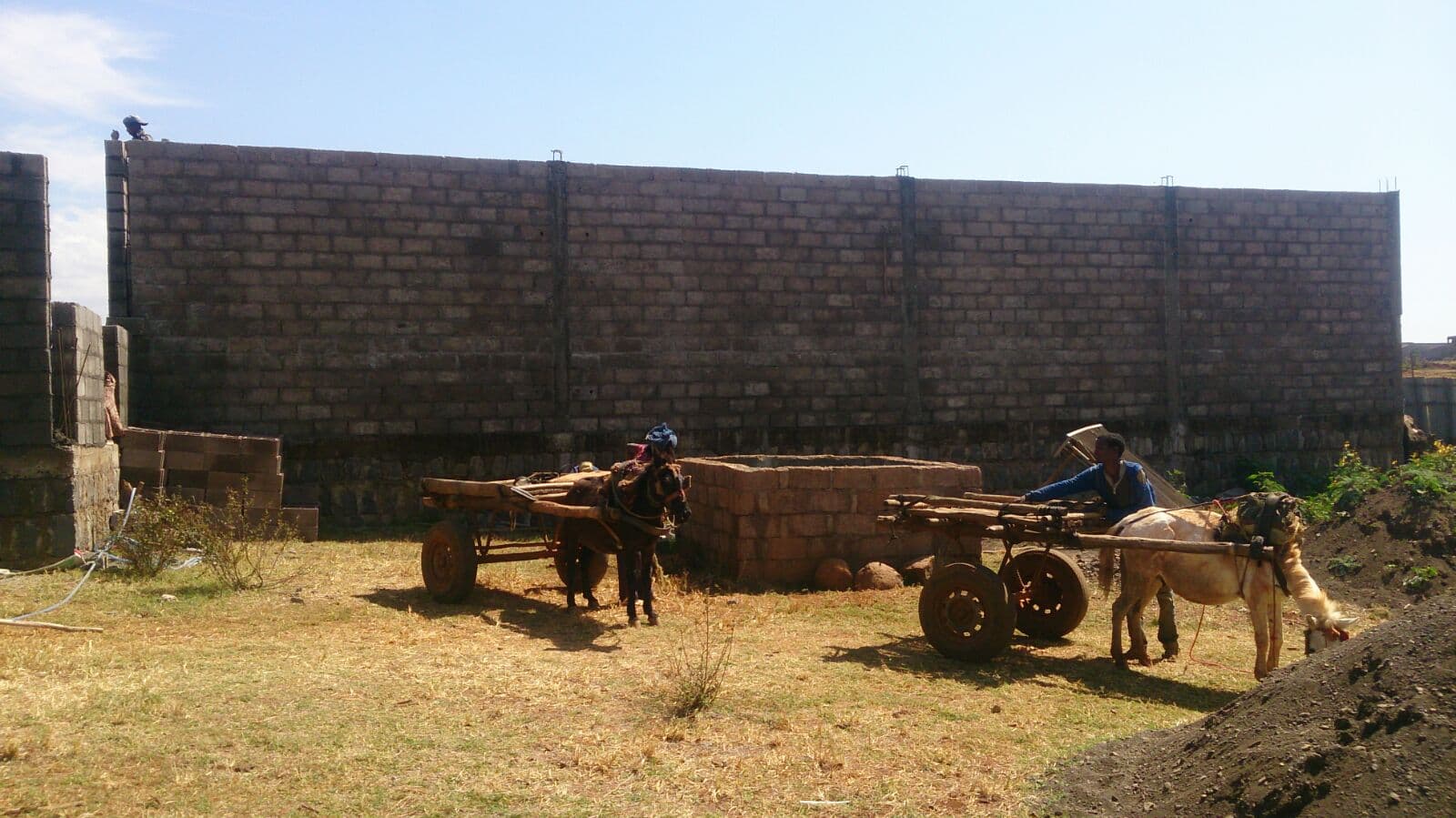 Donkey carts delivering masonry materials beside the growing hospital walls