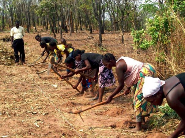 Community members preparing dry soil together for cultivation in Zambia