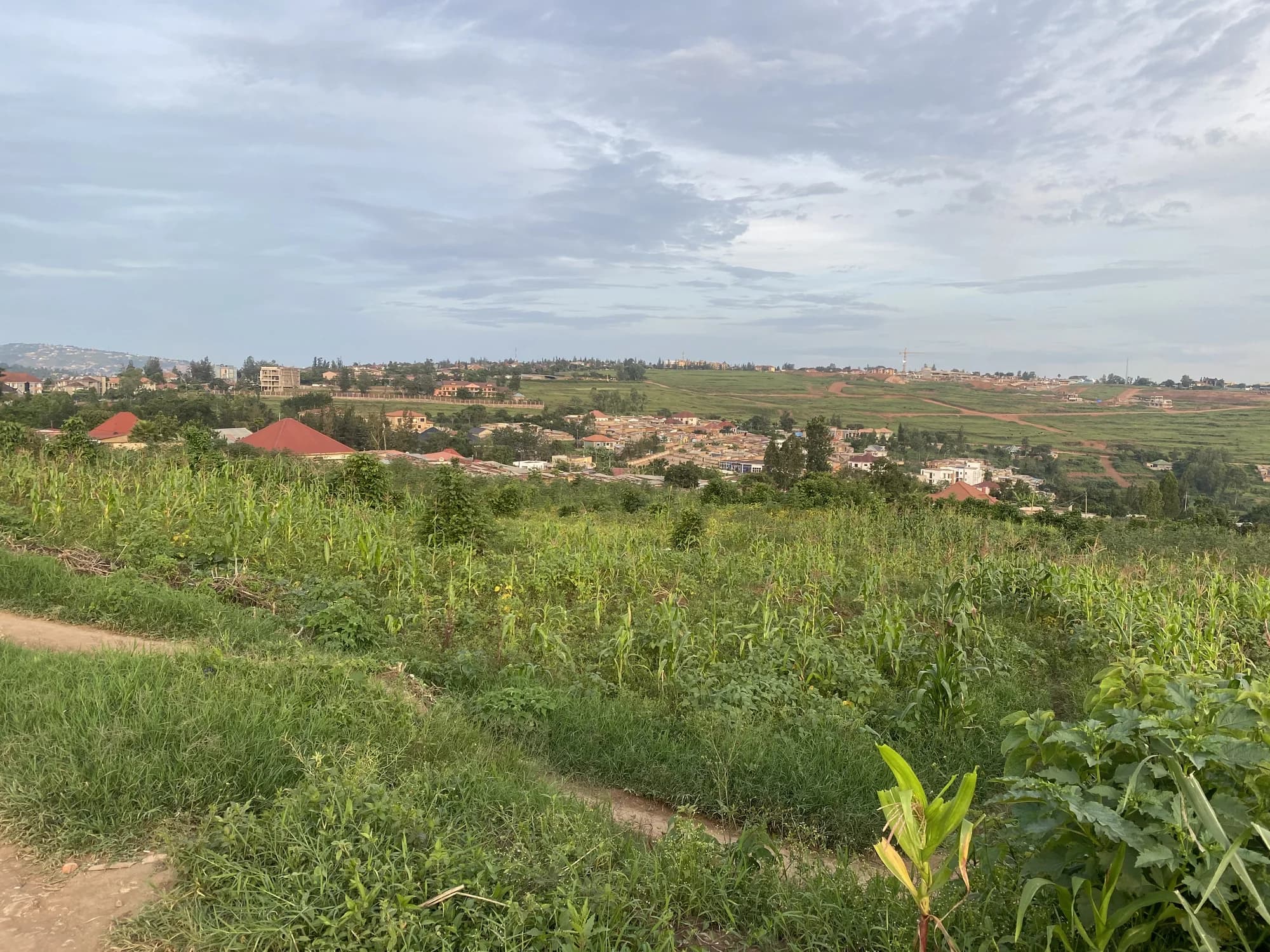 The hillside community and agricultural landscape surrounding the proposed Tebah Hospital site near Kigali