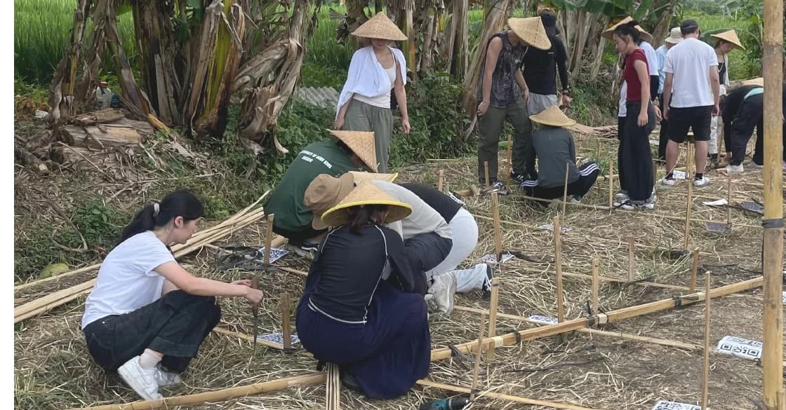 Students and local builders preparing bamboo on the community pavilion site in Bali