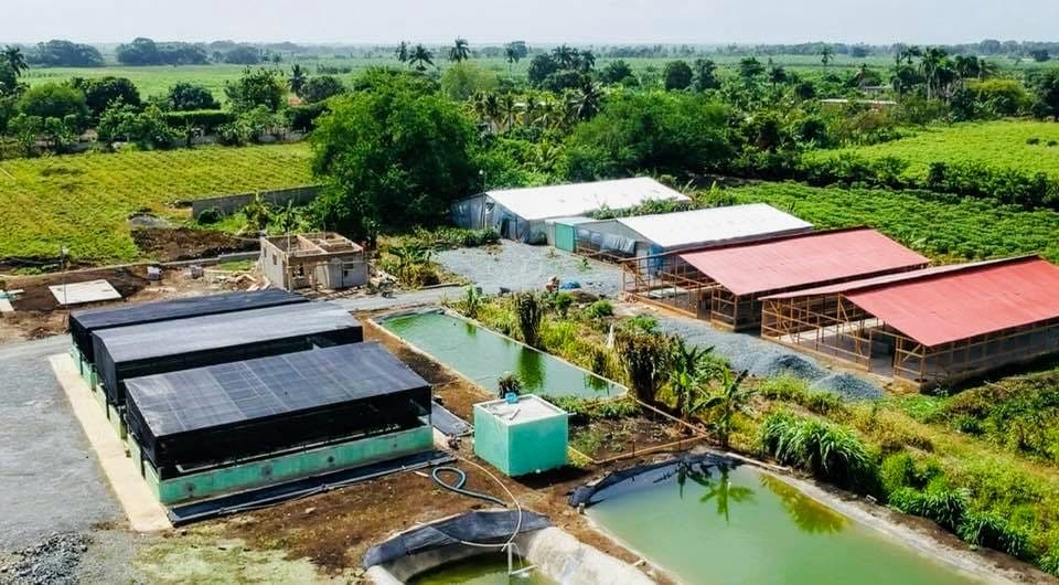 Aerial view of M2535 aquaponics ponds, shaded growing systems, greenhouses, and cultivated landscape