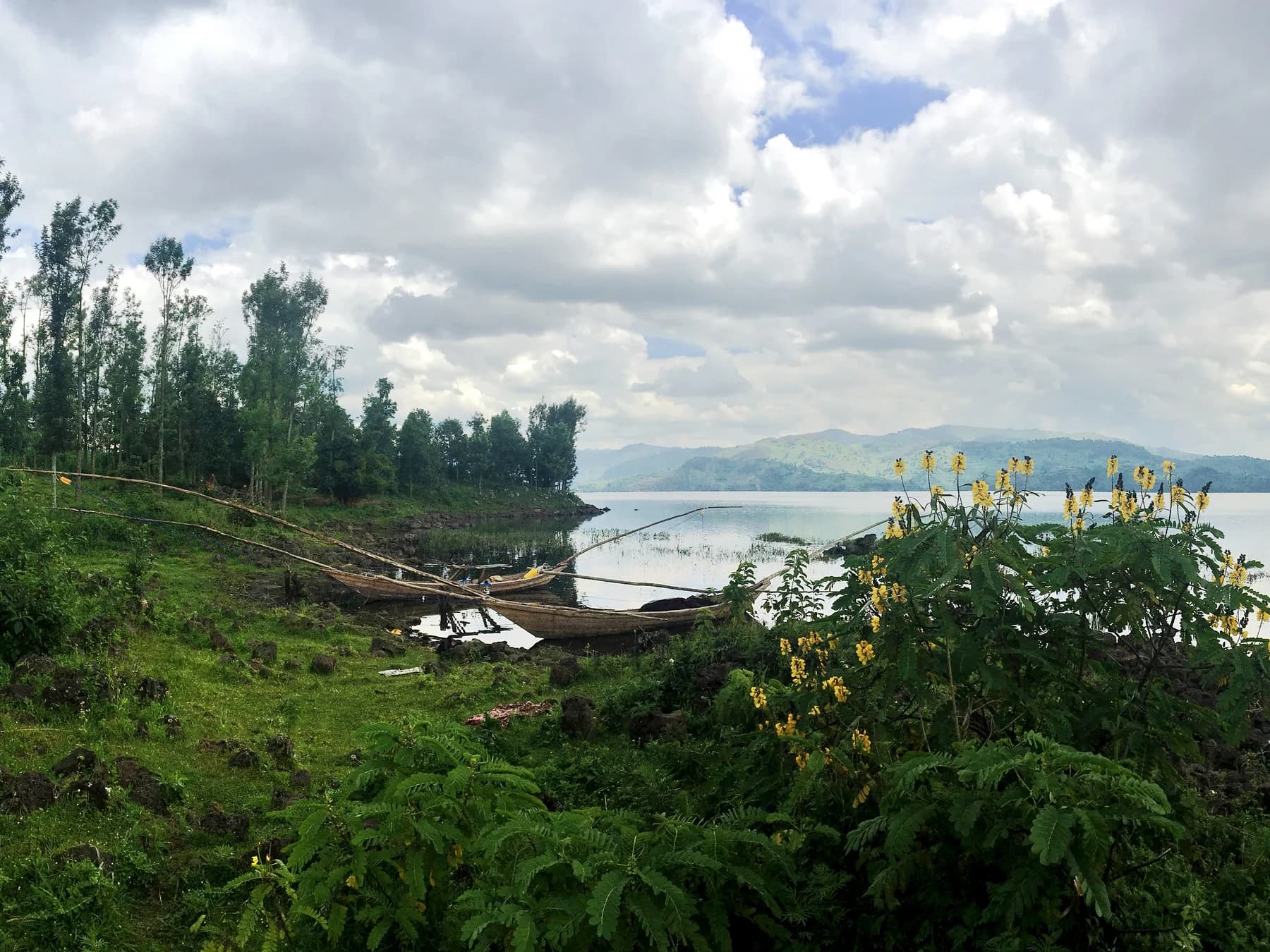 The undeveloped Still Waters Lodge shoreline site, with local boats, wetland planting, and Lake Burera beyond